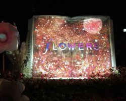 Flowersで雨なのにお花見