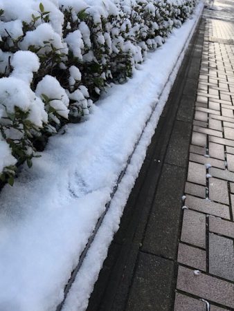 思いがけない雪道になりました