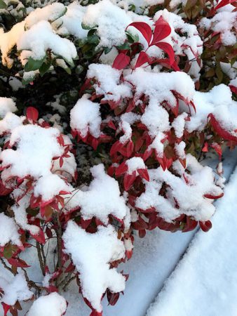 思いがけない雪道になりました