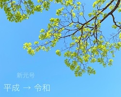 新元号が令和になりました